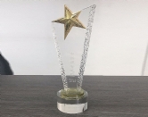 中 國(guó) 服 務(wù) 之 星